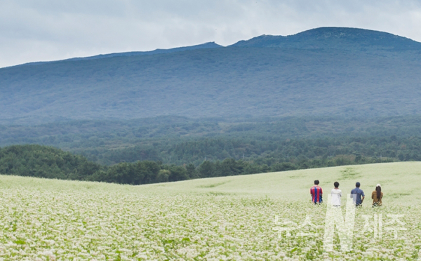 오라동 동성마을 안에 조성된 오라동 메밀꽃밭은 관음사에서 1100로로 이어지는 중산간 길목에 자리하고 있으며, 북쪽으로는 제주 바다가, 남쪽으로는 한라산이 보이는 풍경 명소이다.