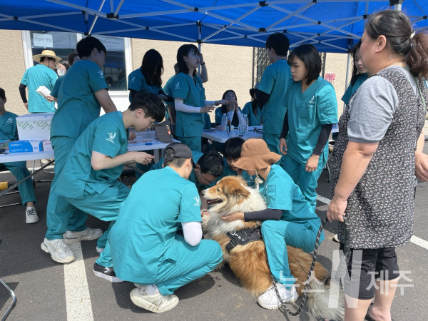 제주대 수의과대학, 30여년 째 동물무료진료 봉사활동 진행