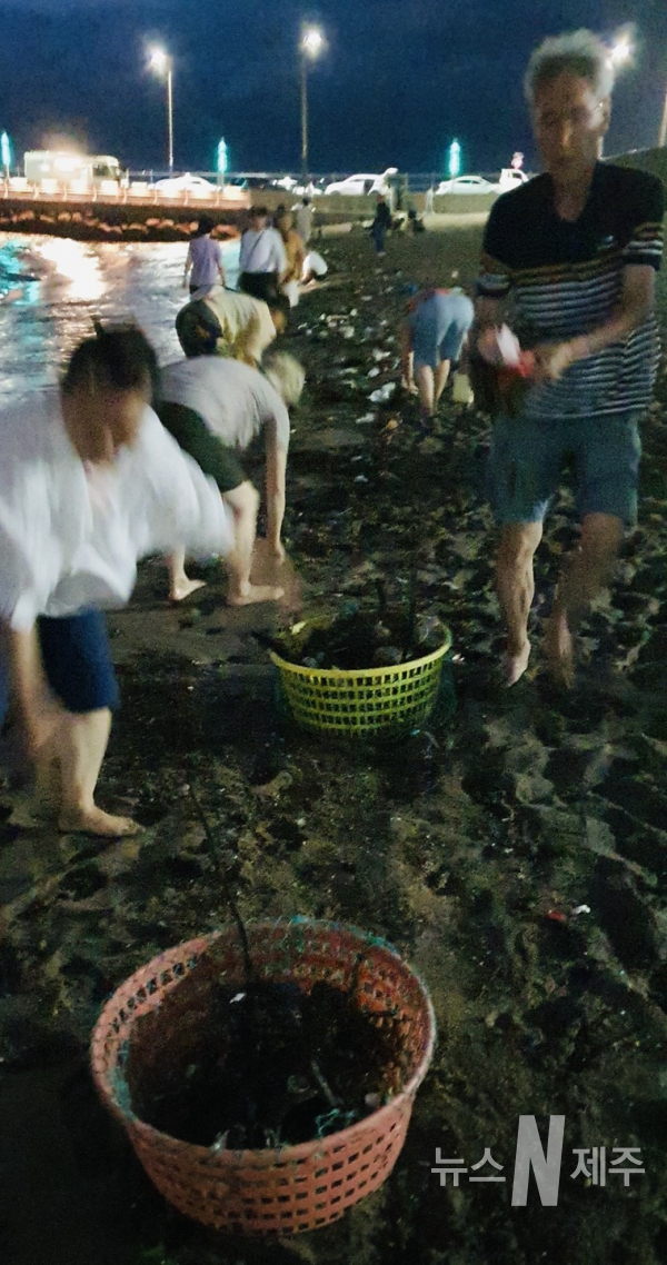 바다에서 밀려온 해양쓰레기를 수거하는 제주시민들(사진= 현창해 전 폴리텍대학제주캠퍼스 학장)