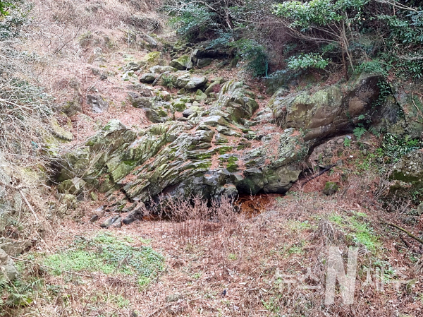 제주시 애월읍 항파두리 항몽유적지 서쪽 하천에 용의 발톱을 닮은 ‘용발톱바위’가 발견됐다