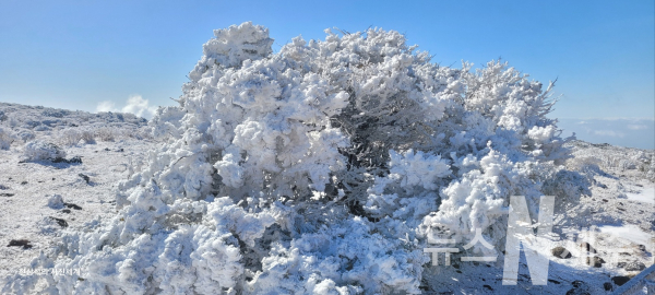 3월 9일 토요일 한라산 눈꽃 산행