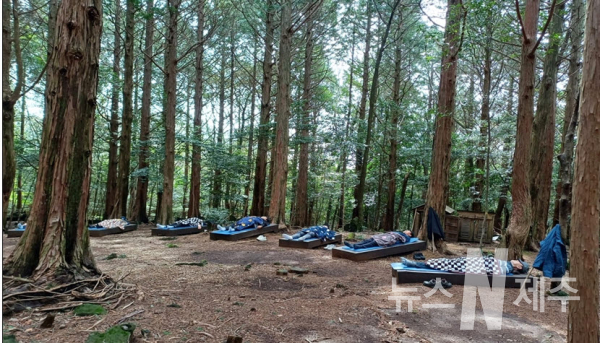 서귀포 치유의 숲 산림치유 프로그램 본격 운영-